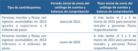 Plazo amparo contabilidad